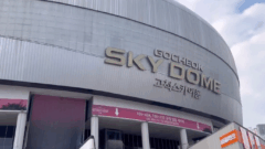 お粥店おすすめ,香港